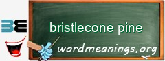 WordMeaning blackboard for bristlecone pine